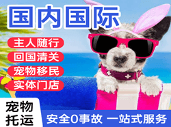 青岛胶东机场邮寄国际宠物托运 【国